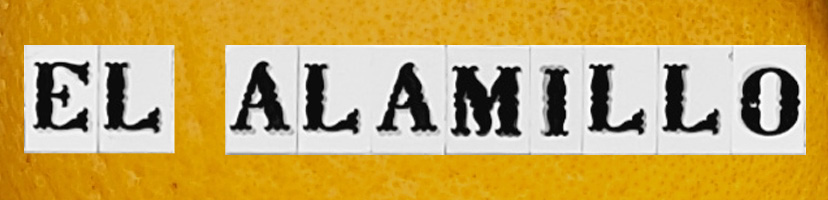 Black Forest logo